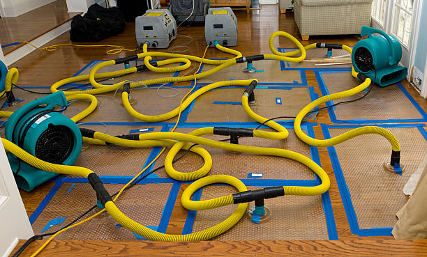 Professional Water Extraction technician working in Mitchell, IL